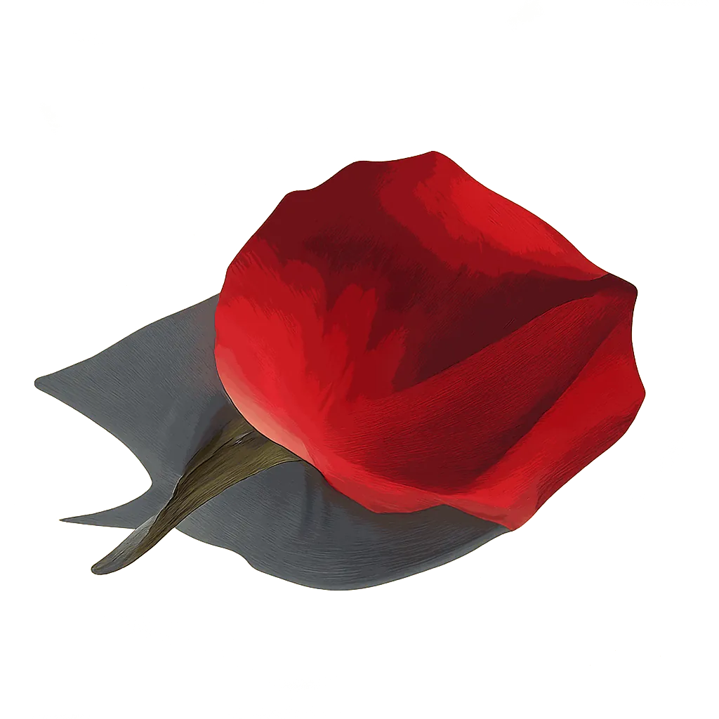 Rose petal